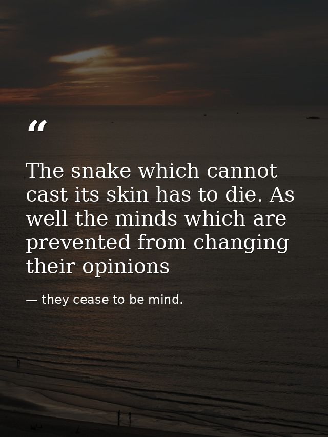 The snake which cannot cast its skin has to die. As well the minds which are prevented from changing their opinions — they cease to be mind.