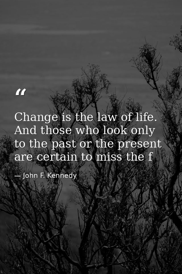 Change is the law of life. And those who look only to the past or the present are certain to miss the f — John F. Kennedy