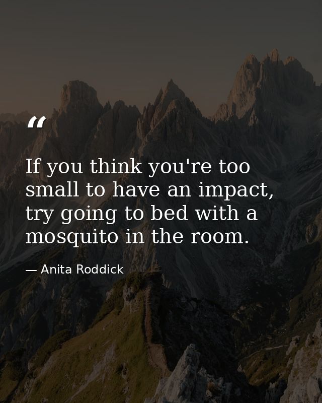 If you think you're too small to have an impact, try going to bed with a mosquito in the room. — Anita Roddick