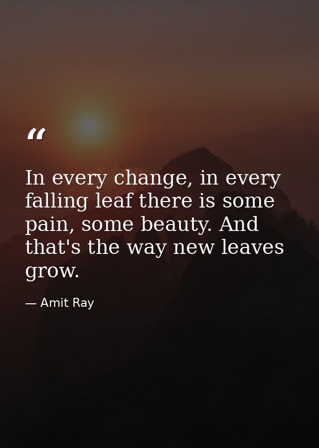 In every change, in every falling leaf there is some pain, some beauty. And that's the way new leaves grow. — Amit Ray