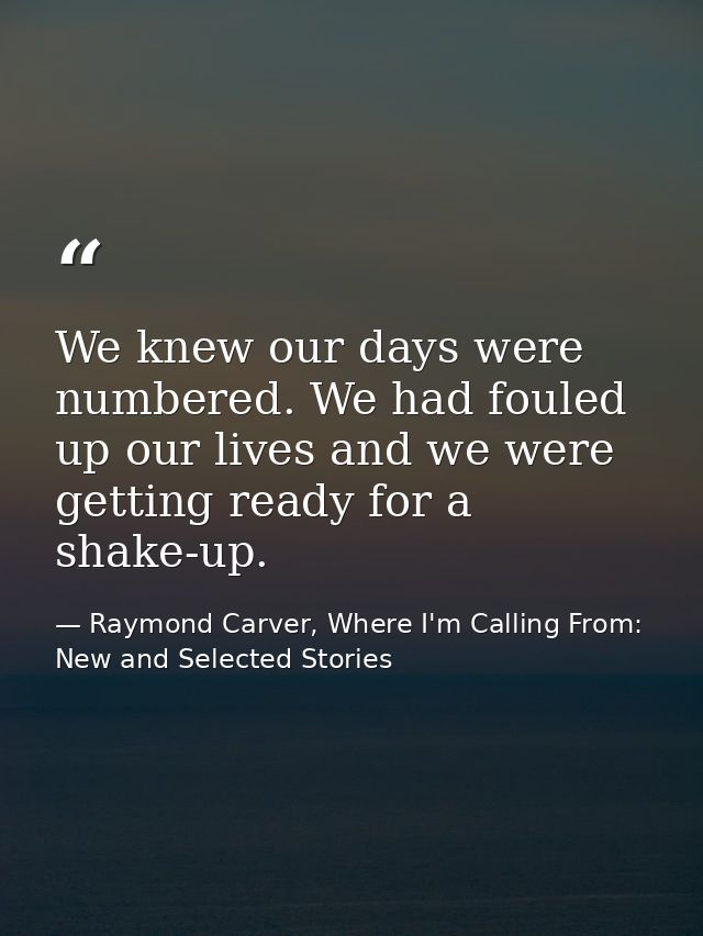 We knew our days were numbered. We had fouled up our lives and we were getting ready for a shake-up. — Raymond Carver, Where I'm Calling From: New and Selected Stories