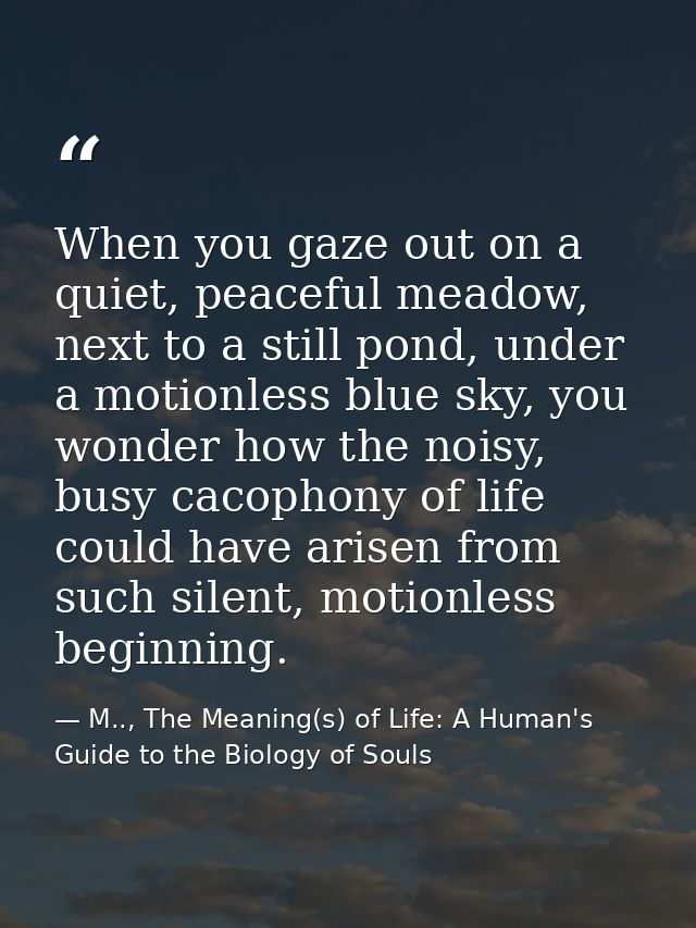 When you gaze out on a quiet, peaceful meadow, next to a still pond, under a motionless blue sky, you wonder how the noi — M.., The Meaning(s) of Life: A Human's Guide to the Biology of Souls