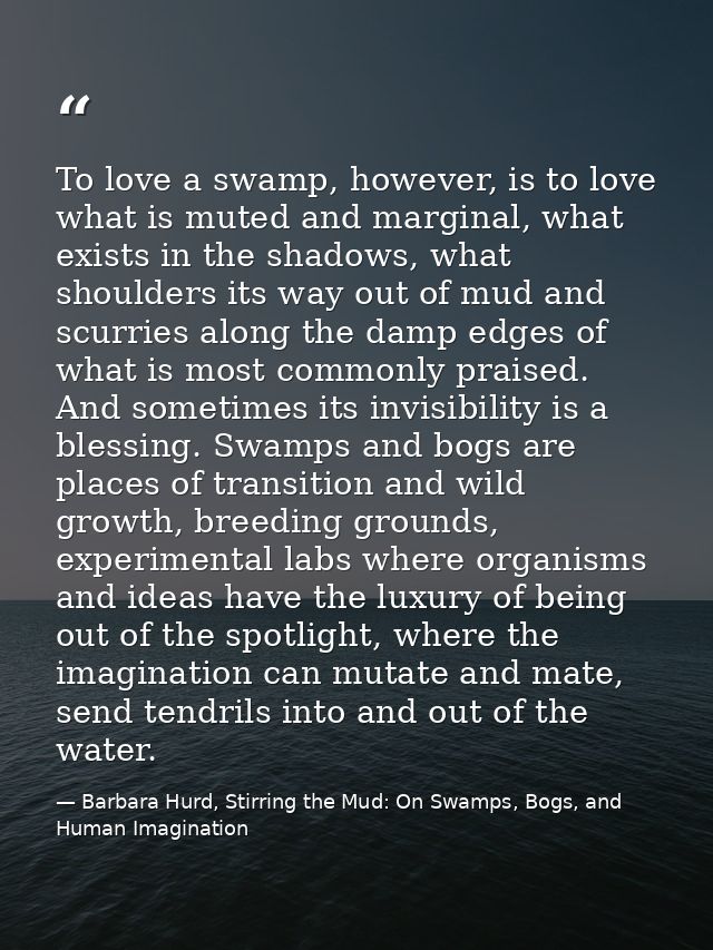 To love a swamp, however, is to love what is muted and marginal, what exists in the shadows, what shoulders its way out  — Barbara Hurd, Stirring the Mud: On Swamps, Bogs, and Human Imagination