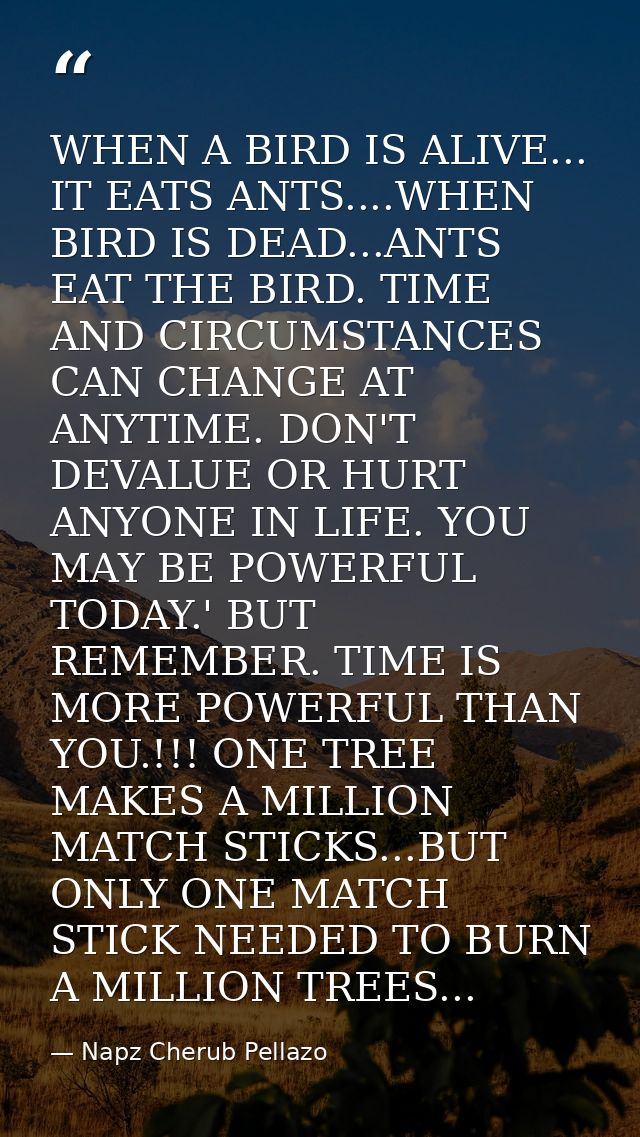 WHEN A BIRD IS ALIVE... IT EATS ANTS....WHEN BIRD IS DEAD...ANTS EAT THE BIRD. TIME AND CIRCUMSTANCES CAN CHANGE AT ANYT — Napz Cherub Pellazo