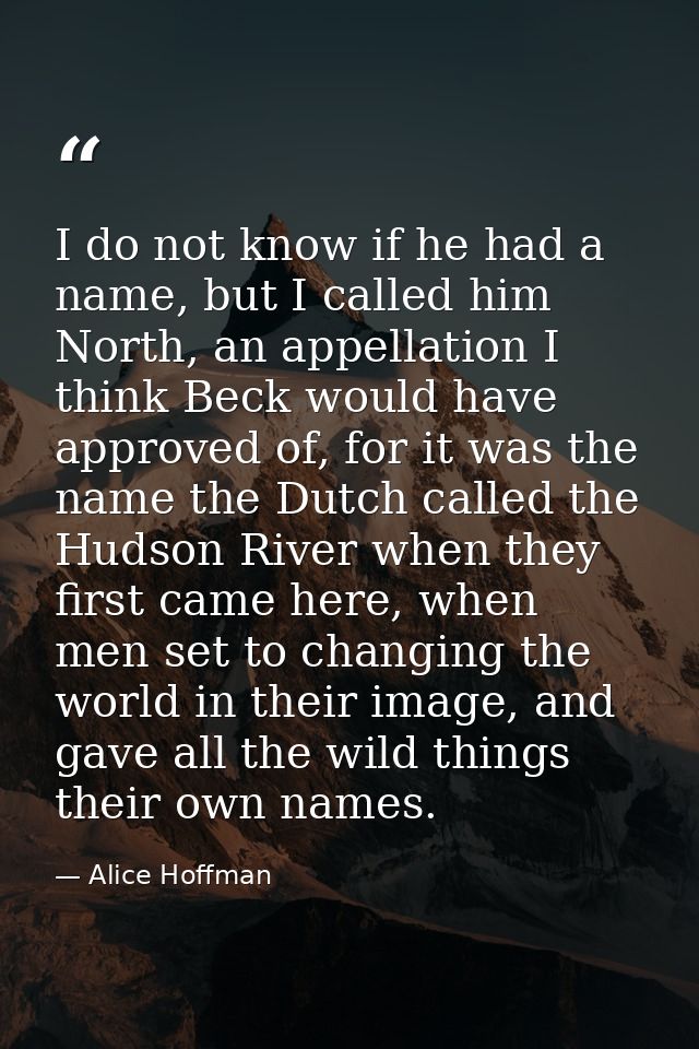 I do not know if he had a name, but I called him North, an appellation I think Beck would have approved of, for it was t — Alice Hoffman