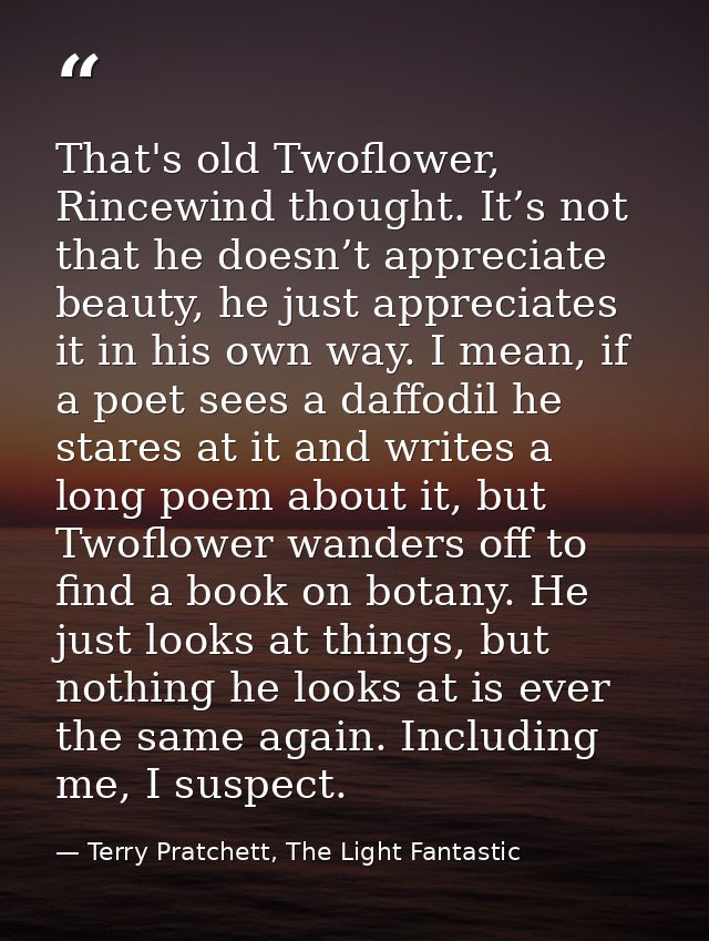 That's old Twoflower, Rincewind thought. It’s not that he doesn’t appreciate beauty, he just appreciates it in his own w — Terry Pratchett, The Light Fantastic