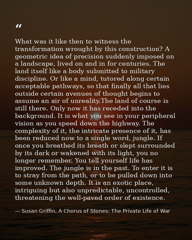 What was it like then to witness the transformation wrought by this construction? A geometric idea of precision suddenly — Susan Griffin, A Chorus of Stones: The Private Life of War