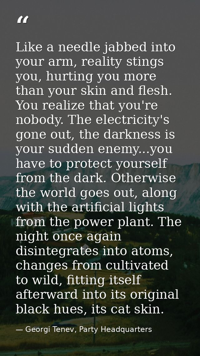 Like a needle jabbed into your arm, reality stings you, hurting you more than your skin and flesh. You realize that you' — Georgi Tenev, Party Headquarters