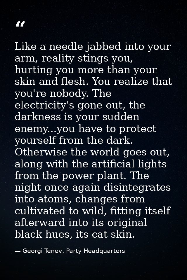 Like a needle jabbed into your arm, reality stings you, hurting you more than your skin and flesh. You realize that you' — Georgi Tenev, Party Headquarters