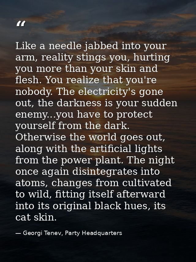 Like a needle jabbed into your arm, reality stings you, hurting you more than your skin and flesh. You realize that you' — Georgi Tenev, Party Headquarters