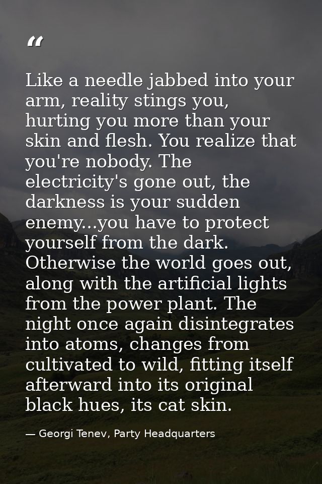 Like a needle jabbed into your arm, reality stings you, hurting you more than your skin and flesh. You realize that you' — Georgi Tenev, Party Headquarters