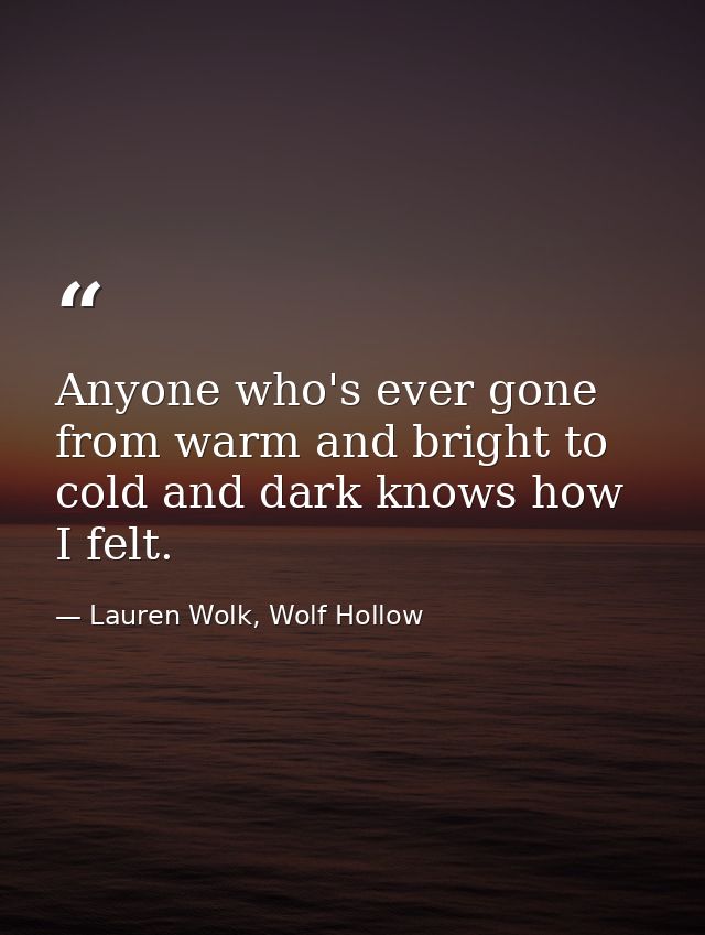 Anyone who's ever gone from warm and bright to cold and dark knows how I felt. — Lauren Wolk, Wolf Hollow