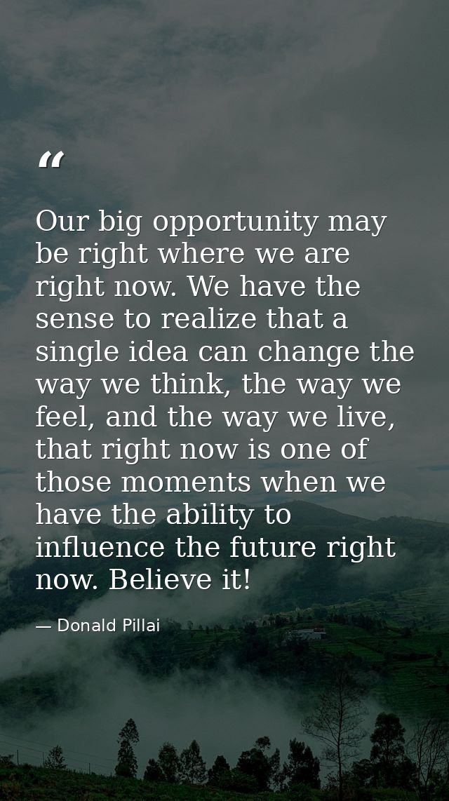 Our big opportunity may be right where we are right now. We have the sense to realize that a single idea can change the  — Donald Pillai