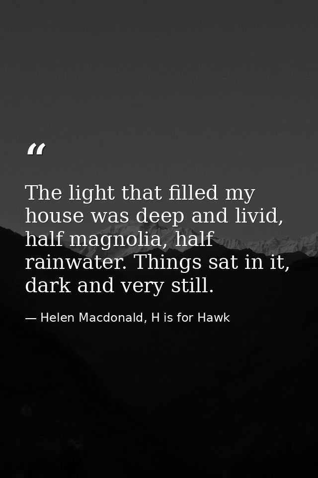The light that filled my house was deep and livid, half magnolia, half rainwater. Things sat in it, dark and very still. — Helen Macdonald, H is for Hawk