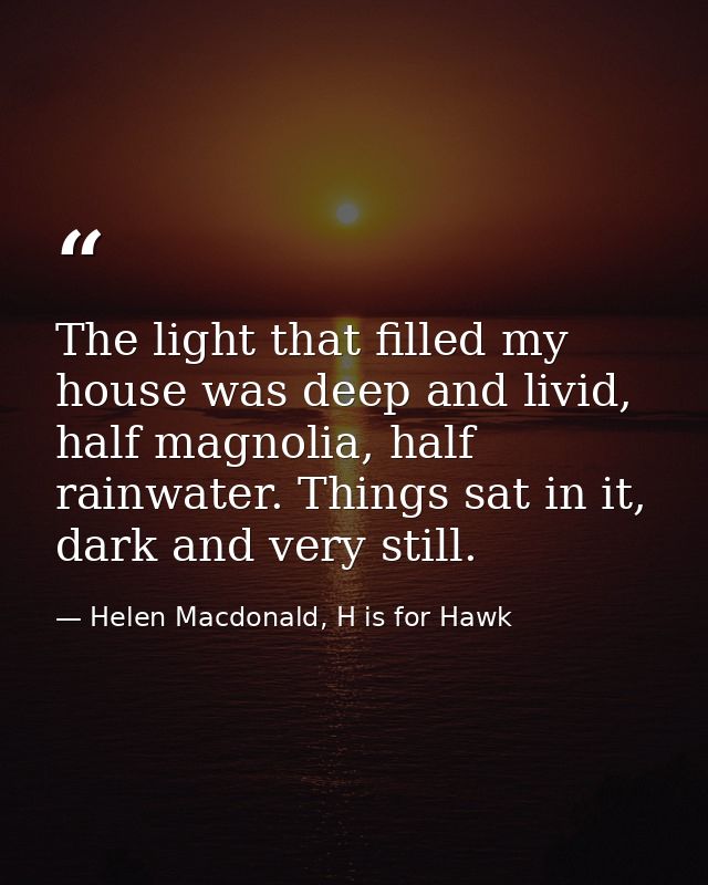 The light that filled my house was deep and livid, half magnolia, half rainwater. Things sat in it, dark and very still. — Helen Macdonald, H is for Hawk