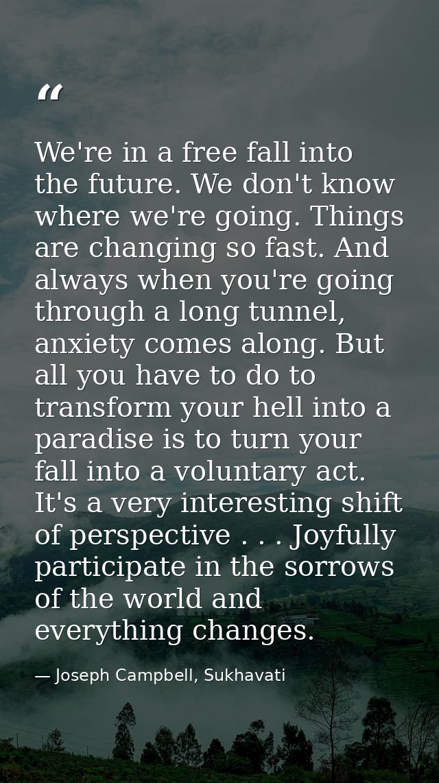 We're in a free fall into the future. We don't know where we're going. Things are changing so fast. And always when you' — Joseph Campbell, Sukhavati