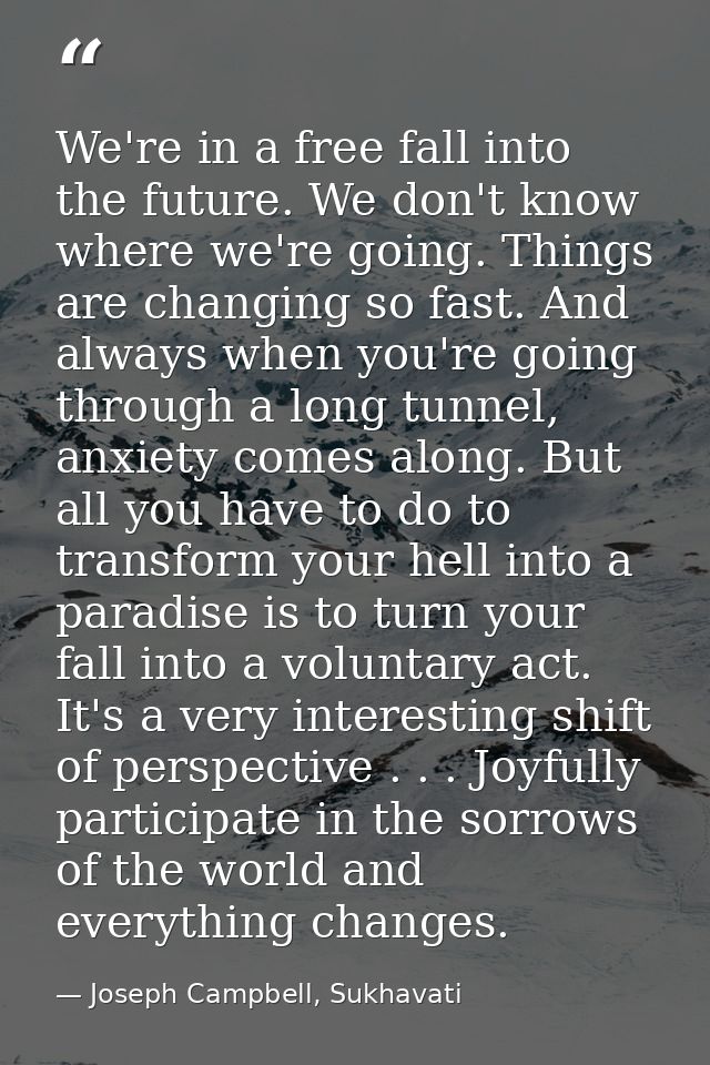 We're in a free fall into the future. We don't know where we're going. Things are changing so fast. And always when you' — Joseph Campbell, Sukhavati