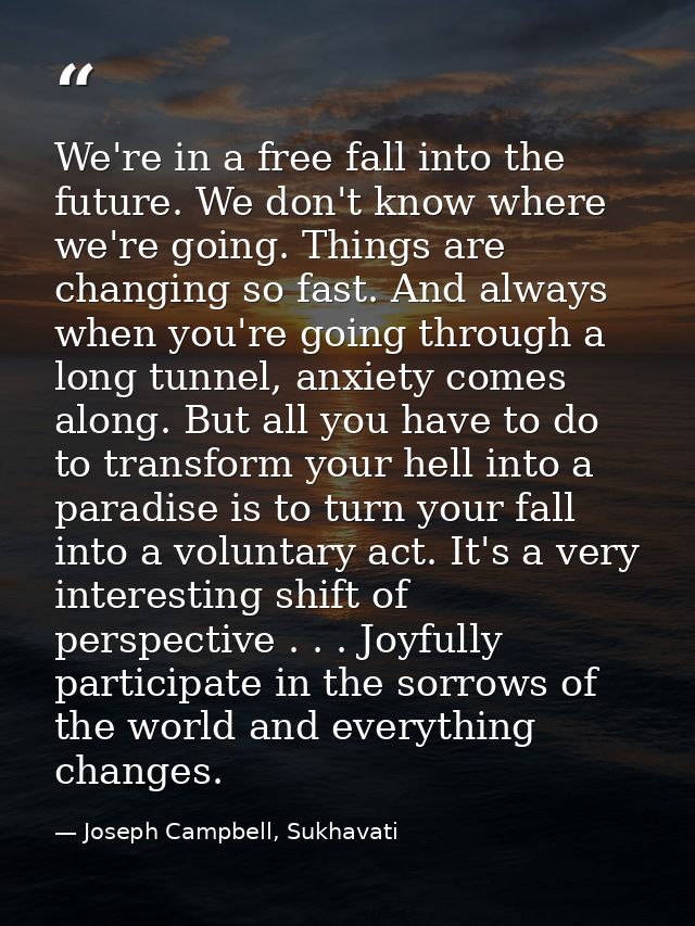We're in a free fall into the future. We don't know where we're going. Things are changing so fast. And always when you' — Joseph Campbell, Sukhavati