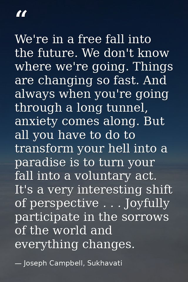 We're in a free fall into the future. We don't know where we're going. Things are changing so fast. And always when you' — Joseph Campbell, Sukhavati