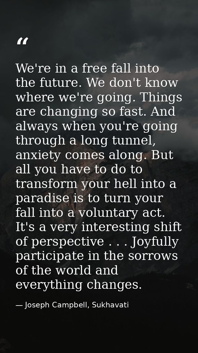 We're in a free fall into the future. We don't know where we're going. Things are changing so fast. And always when you' — Joseph Campbell, Sukhavati