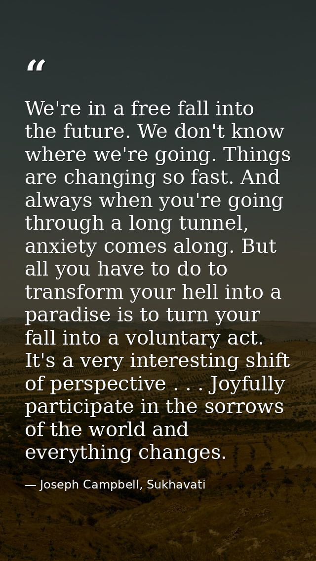 We're in a free fall into the future. We don't know where we're going. Things are changing so fast. And always when you' — Joseph Campbell, Sukhavati