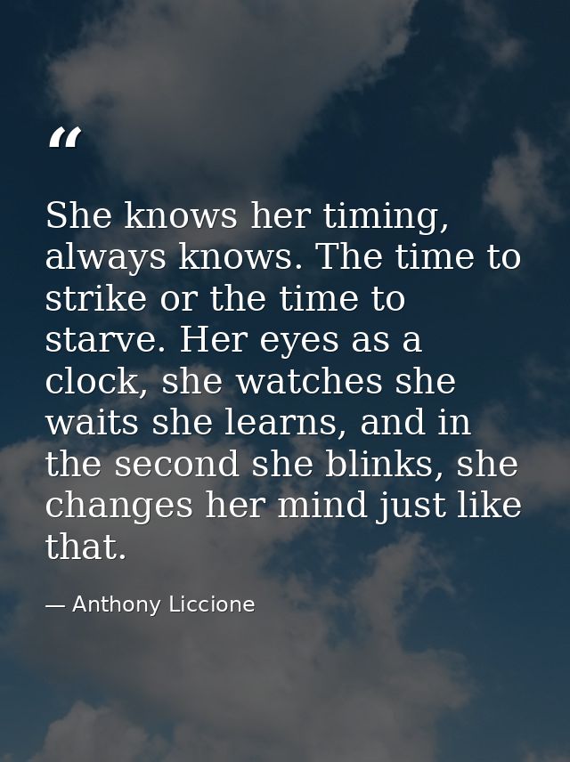 She knows her timing, always knows. The time to strike or the time to starve. Her eyes as a clock, she watches she waits — Anthony Liccione