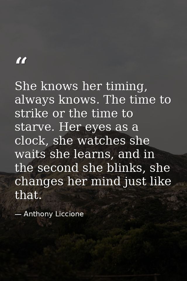 She knows her timing, always knows. The time to strike or the time to starve. Her eyes as a clock, she watches she waits — Anthony Liccione