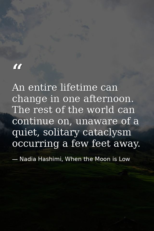 An entire lifetime can change in one afternoon. The rest of the world can continue on, unaware of a quiet, solitary cata — Nadia Hashimi, When the Moon is Low