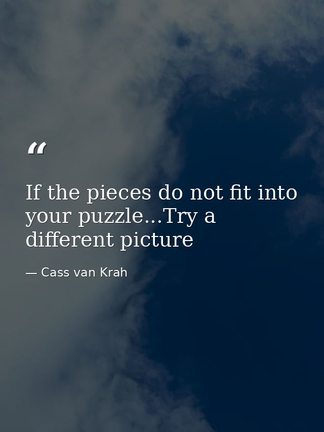 If the pieces do not fit into your puzzle...Try a different picture — Cass van Krah