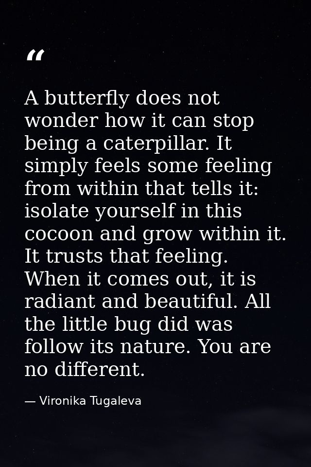 A butterfly does not wonder how it can stop being a caterpillar. It simply feels some feeling from within that tells it: — Vironika Tugaleva