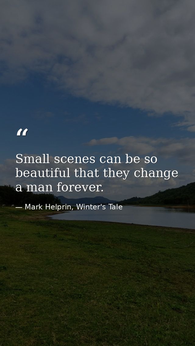 Small scenes can be so beautiful that they change a man forever. — Mark Helprin, Winter's Tale