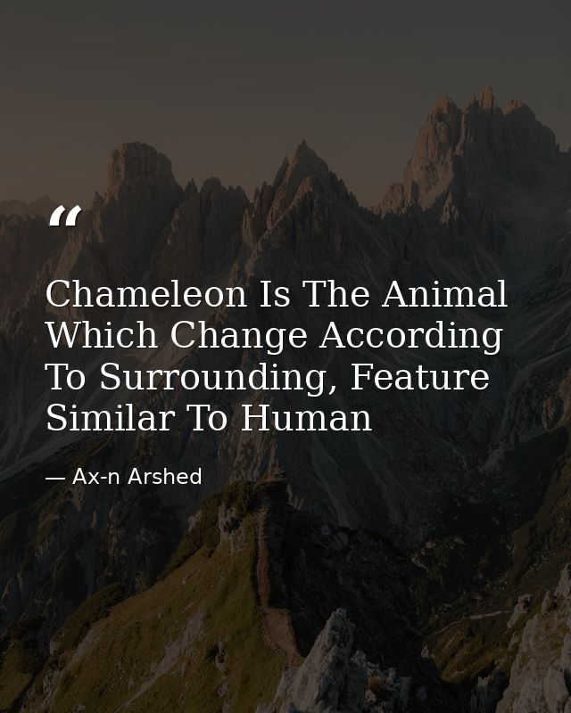Chameleon Is The Animal Which Change According To Surrounding, Feature Similar To Human — Ax-n Arshed