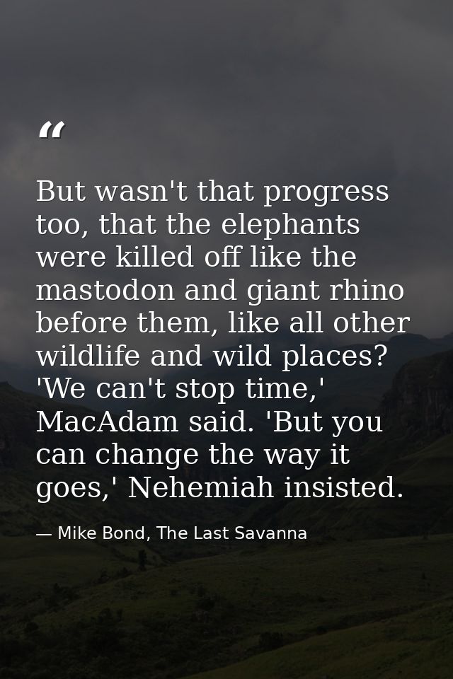 But wasn't that progress too, that the elephants were killed off like the mastodon and giant rhino before them, like all — Mike Bond, The Last Savanna