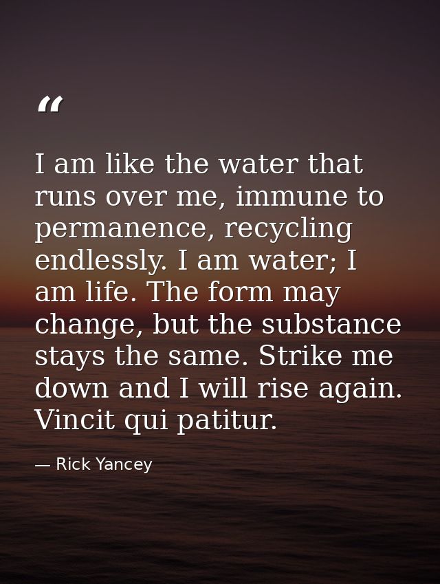 I am like the water that runs over me, immune to permanence, recycling endlessly. I am water; I am life. The form may ch — Rick Yancey