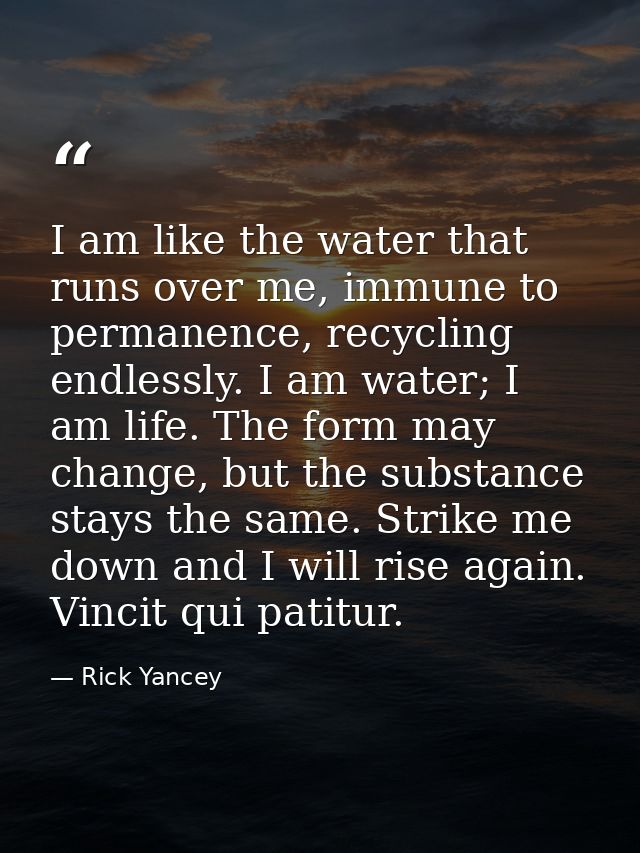 I am like the water that runs over me, immune to permanence, recycling endlessly. I am water; I am life. The form may ch — Rick Yancey