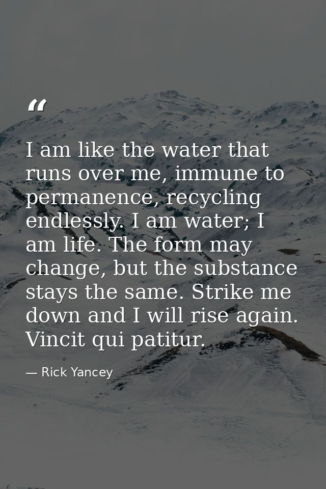 I am like the water that runs over me, immune to permanence, recycling endlessly. I am water; I am life. The form may ch — Rick Yancey