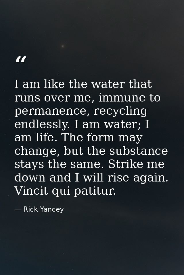 I am like the water that runs over me, immune to permanence, recycling endlessly. I am water; I am life. The form may ch — Rick Yancey
