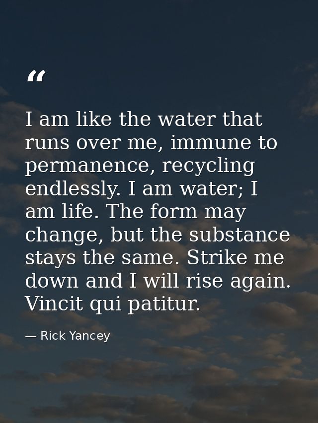 I am like the water that runs over me, immune to permanence, recycling endlessly. I am water; I am life. The form may ch — Rick Yancey