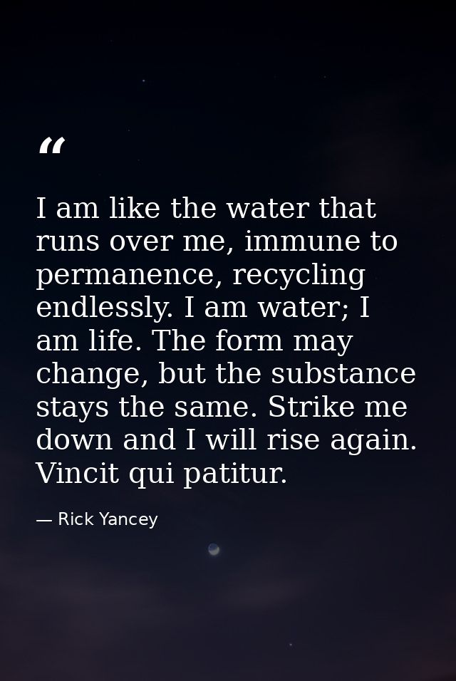 I am like the water that runs over me, immune to permanence, recycling endlessly. I am water; I am life. The form may ch — Rick Yancey
