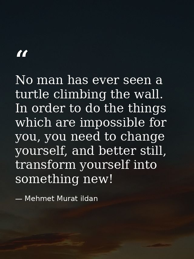 No man has ever seen a turtle climbing the wall. In order to do the things which are impossible for you, you need to cha — Mehmet Murat ildan