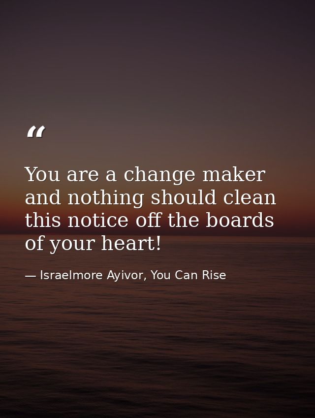 You are a change maker and nothing should clean this notice off the boards of your heart! — Israelmore Ayivor, You Can Rise