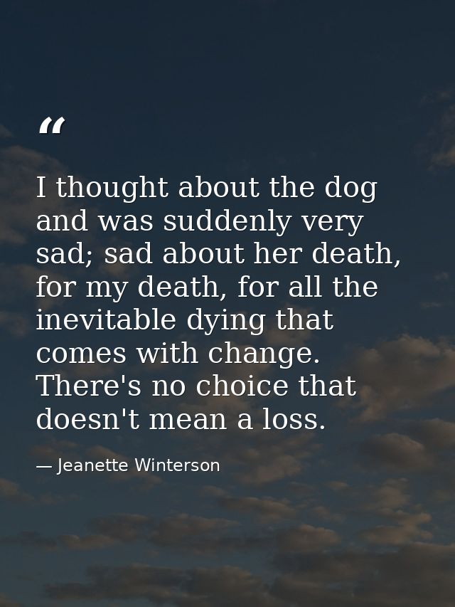 I thought about the dog and was suddenly very sad; sad about her death, for my death, for all the inevitable dying that  — Jeanette Winterson