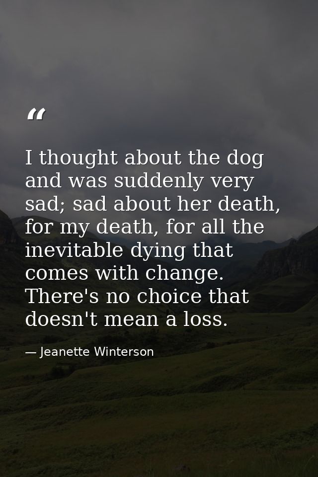 I thought about the dog and was suddenly very sad; sad about her death, for my death, for all the inevitable dying that  — Jeanette Winterson