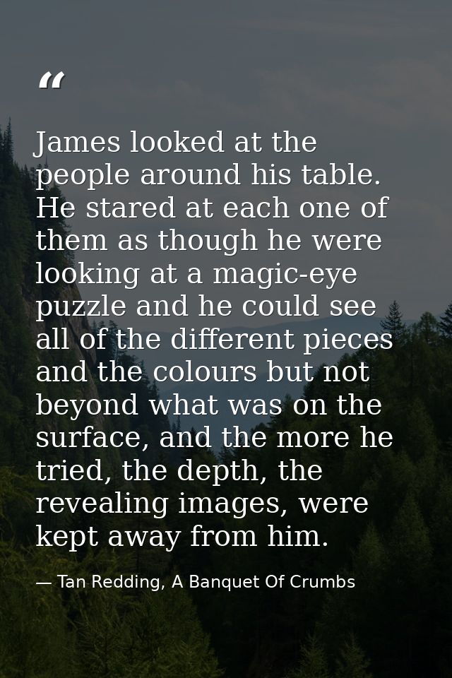 James looked at the people around his table. He stared at each one of them as though he were looking at a magic-eye puzz — Tan Redding, A Banquet Of Crumbs