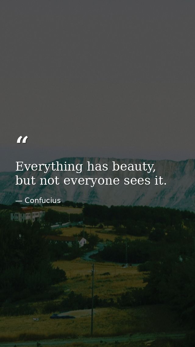 Everything has beauty, but not everyone sees it. — Confucius