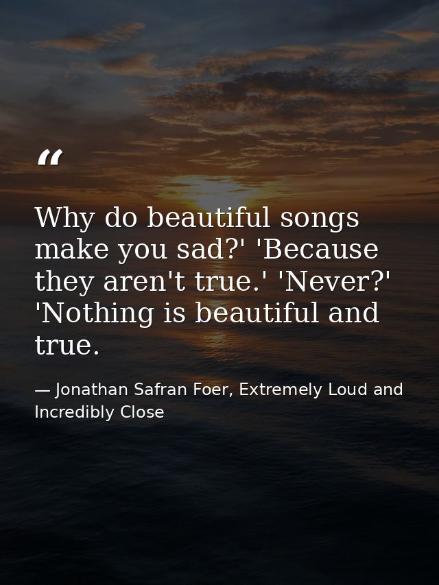 Why do beautiful songs make you sad?' 'Because they aren't true.' 'Never?' 'Nothing is beautiful and true. — Jonathan Safran Foer, Extremely Loud and Incredibly Close