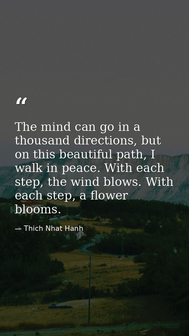 The mind can go in a thousand directions, but on this beautiful path, I walk in peace. With each step, the wind blows. W — Thich Nhat Hanh