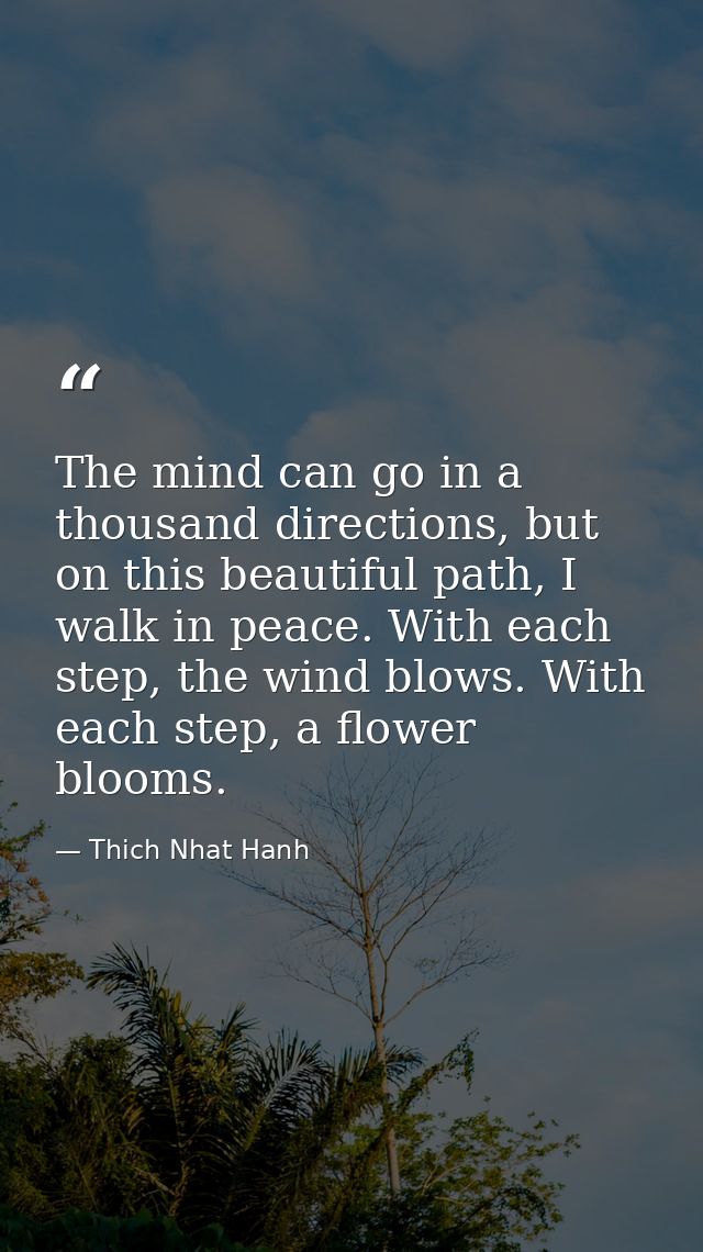 The mind can go in a thousand directions, but on this beautiful path, I walk in peace. With each step, the wind blows. W — Thich Nhat Hanh