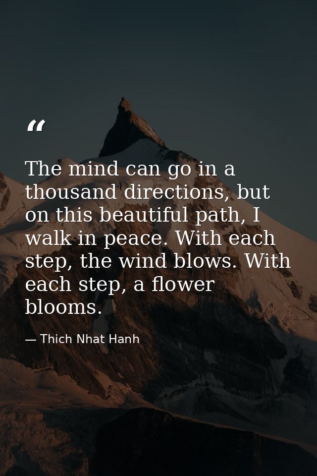 The mind can go in a thousand directions, but on this beautiful path, I walk in peace. With each step, the wind blows. W — Thich Nhat Hanh