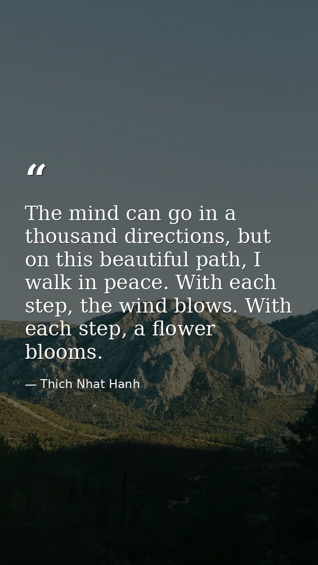 The mind can go in a thousand directions, but on this beautiful path, I walk in peace. With each step, the wind blows. W — Thich Nhat Hanh